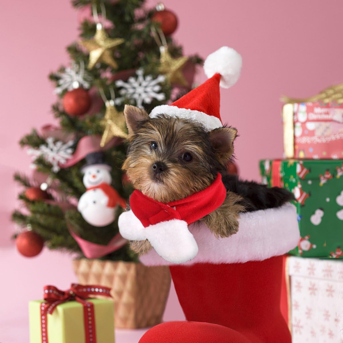 Christmas Cat Hats Costume, Santa Hat with Red Scarf for Cats Small Dogs, Rabbit Christmas Hat Outfit, Small Xmas Apparel for Statue, Toys Decoration